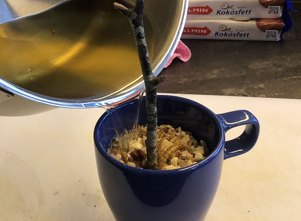 Flüssiges Fett wird in blaue Tasse mit Futtermischung gegossen.